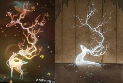 新皮肤爆料最新镜头视频,镜头视频揭秘神秘视觉盛宴