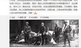 雷州爆料新闻事件始末视频,真相与争议交织的舆论漩涡